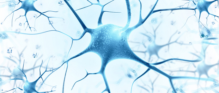 青光眼神經(jīng)