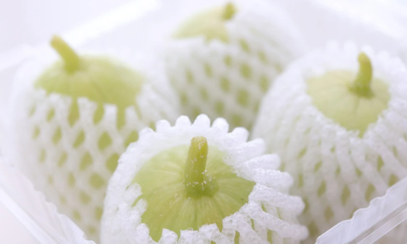 白內(nèi)障術(shù)后飲食